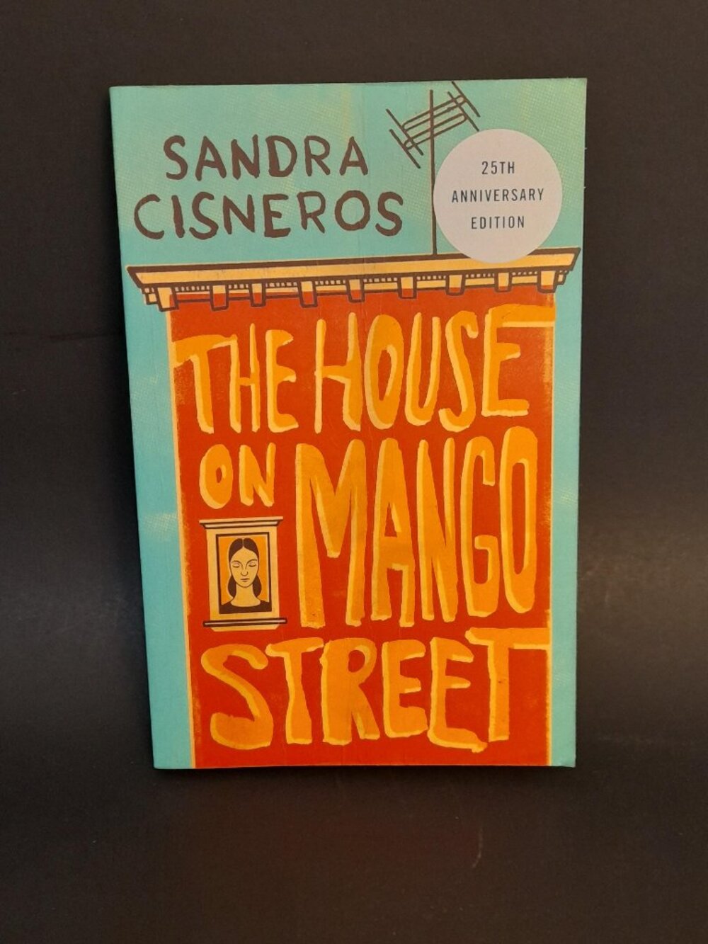 The House on Mango Street Book